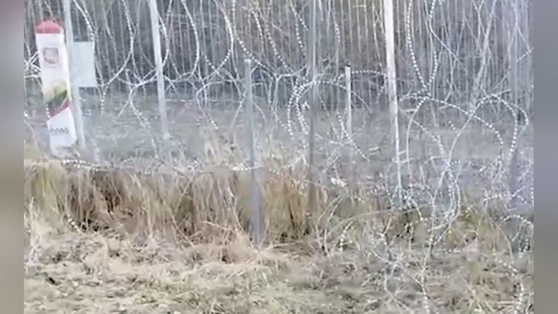 На границе с Литвой пограничники нашли мертвого лося
