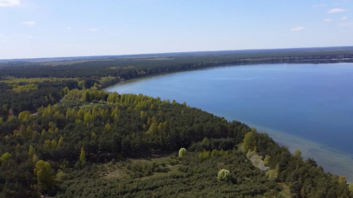С начала года Беларусь посетило более 52 тысяч европейцев