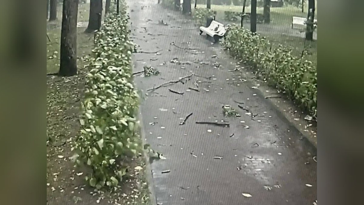 Ураган в Смоленске унес жизни двух человек, в том числе ребенка