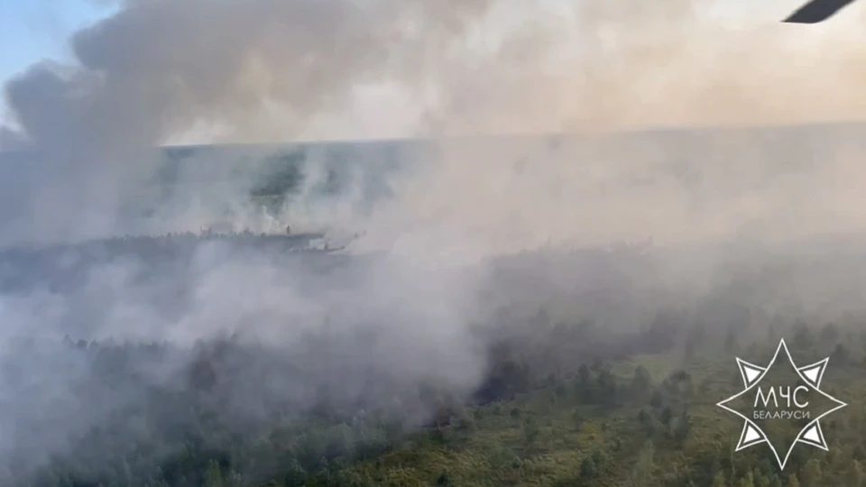 Авиаторы МЧС локализовали лесной пожар в Житковичском районе