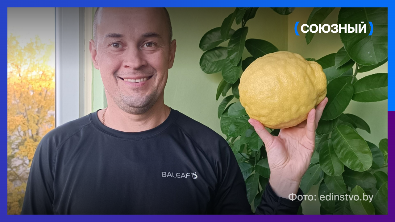 Белорусский лимон-гигант бьет рекорды 