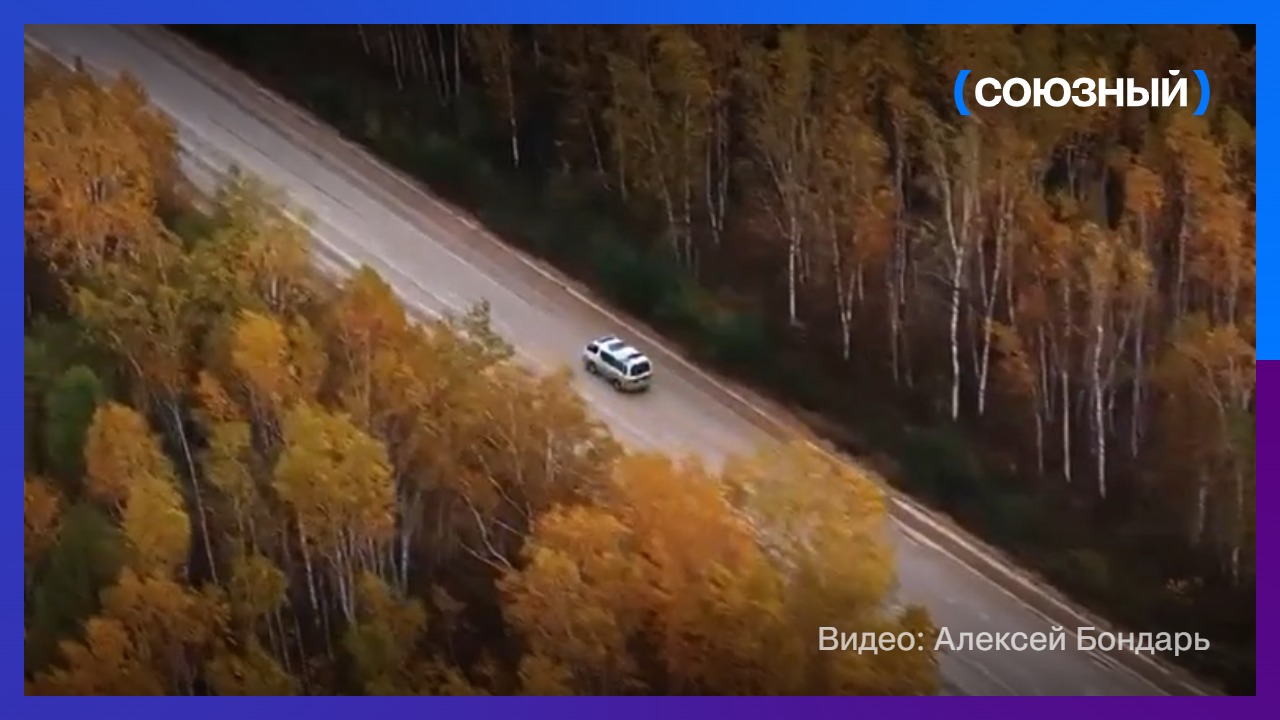 Видео: на север Амурской области пришла золотая осень