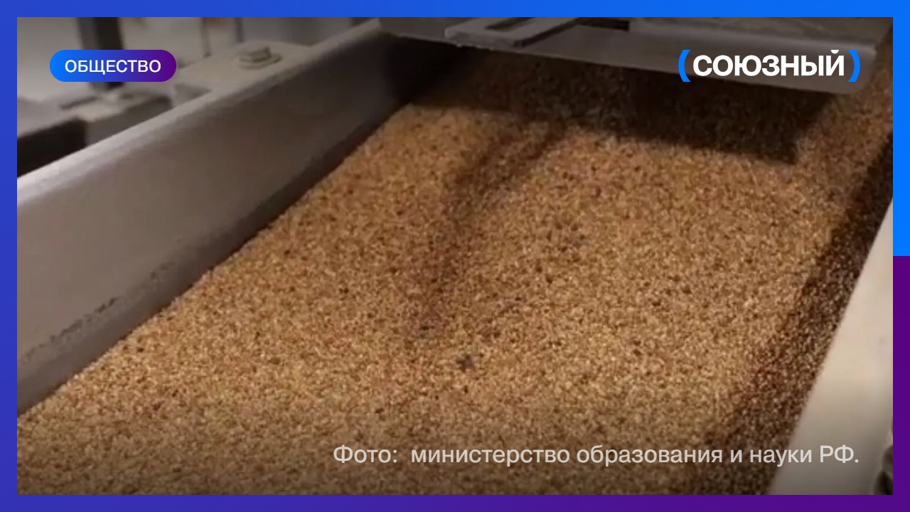 Воронежские ученые создали энергоэффективную сушилку для сохранения полезных свойств киноа 