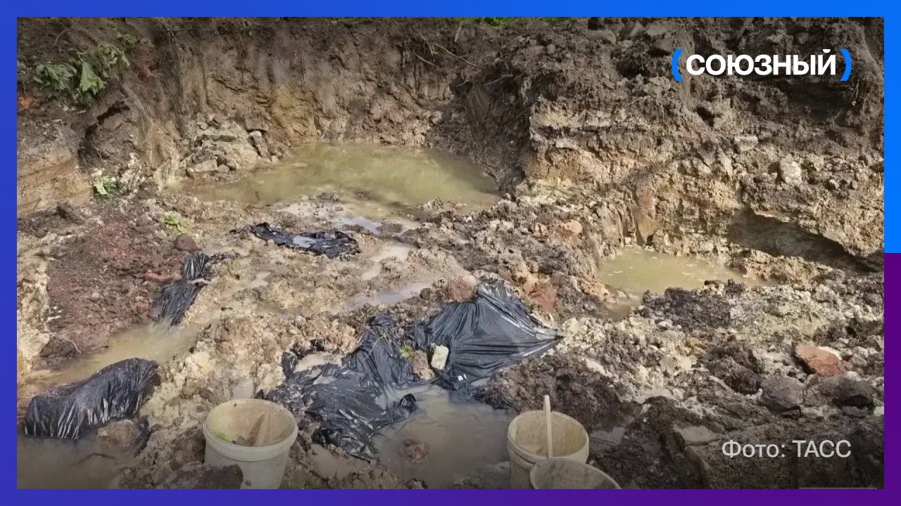 В Ленинградской области обнаружили захоронение 97 советских военнопленных