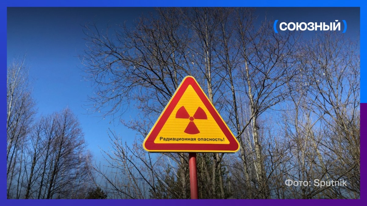 В Беларуси вернут в хозяйственное использование около 374 га земель в Гомельской области