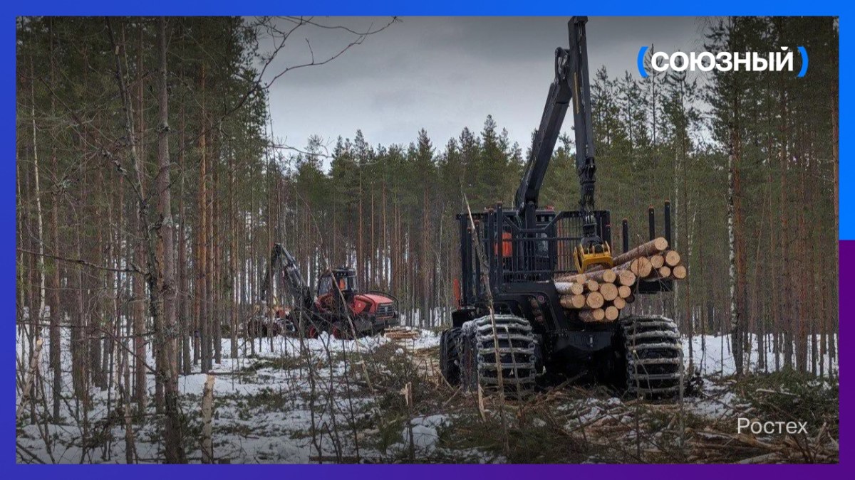 В Ростехе заявили о подготовке к запуску в серийное производство новой лесозаготовительной техники